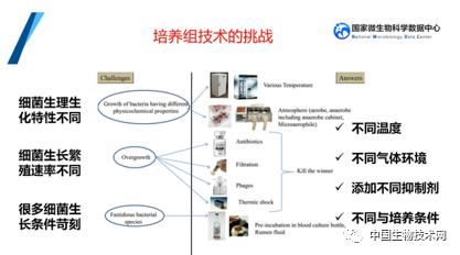 培養組通幽微世界，助力微生物資源大作為——記國家微生物科學數據中心網絡精品課網絡技術開發