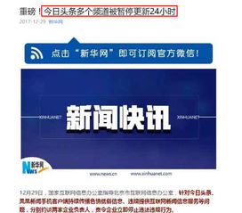 監(jiān)管重拳與品牌價(jià)值觀 從今日頭條處罰看投資者的深刻啟示